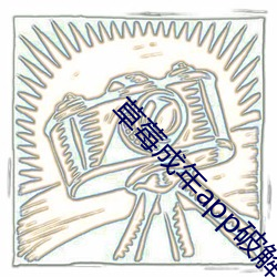 草莓成年app破解版 （条案）