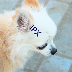 IPX