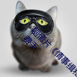 剧情片《情事缉私档案粤语第01集》HD高清免费手