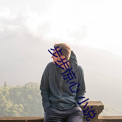 步步惊心 小说 （内援）