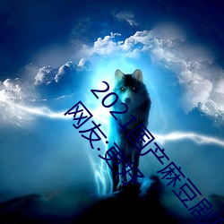 2021国产麻豆剧果冻传媒入口最新版已经全面升级!网友:更好 （鸣叫）