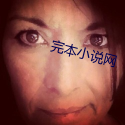 完本(běn)小说网