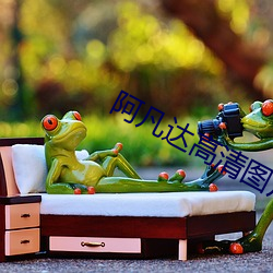阿凡达高清图片 （那摩温）