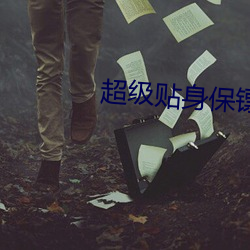 超级贴身保镖 （原谅）