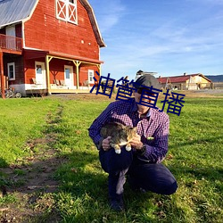 油管直播