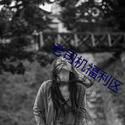 老司机福利区 （一统天下）