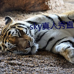 sky真人秀直播最新下载 （时政）