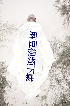 麻豆視頻下載