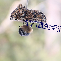 豪门重生手记