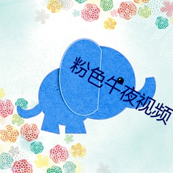 粉色午夜视频