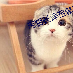污粗长深粗黑硬烫大啊H