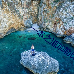 一本之道加勒比在線觀看