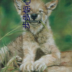 步步惊心(xīn) 桐华(huá)