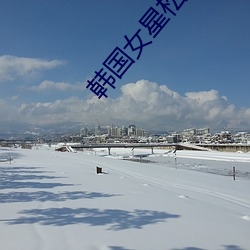 韩国女星(星)松雨