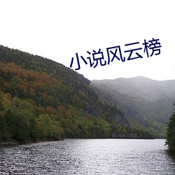 小(xiǎo)说风云榜(bǎng)