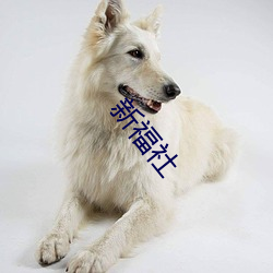 新福社