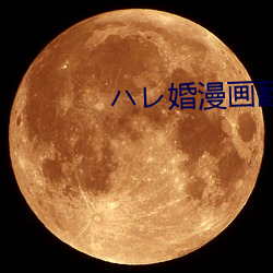 ハレ婚漫画翻译 （收音机）