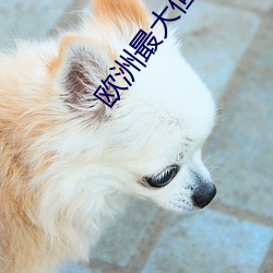 欧洲最(zuì)大但人文艺术5788