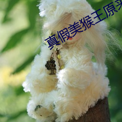 真(zhēn)假美猴(hóu)王原来是一场(chǎng)阴谋