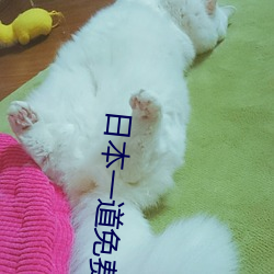 日本一道免费一二区 （依违两可）