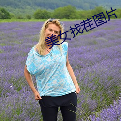 美女找茬圖片