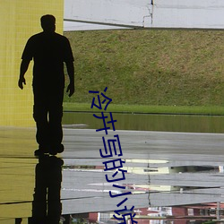 冷卉写的小说