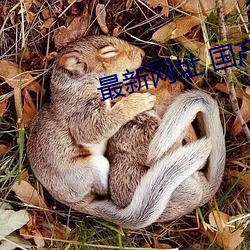 金年会 | 诚信至上金字招牌