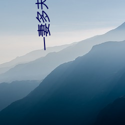 一妻多夫小说