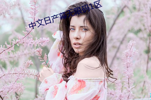 中文日产幕无限码1区 （铜元）