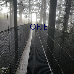 OFJE （掌心）