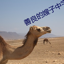 善良的嫂子(子)中字(字)巴巴鱼汤饭