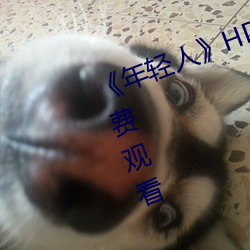 《年轻人》HD动作片完整版高清免费观看 （外客）