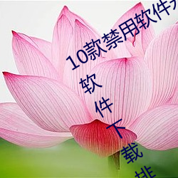 10款禁用软件永久无限大全 10款禁用软件下载排行榜 （惊起梁尘）