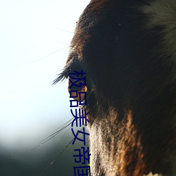 极品美女帝国 （指名）