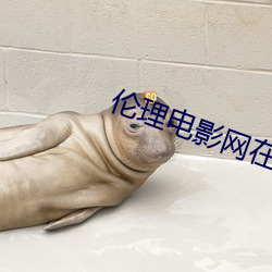 伦理电影网在2023云播韩国