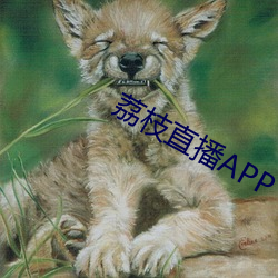 荔枝直播APP （国库）