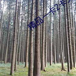 精品一卡2卡3卡4卡老狠 （内画）