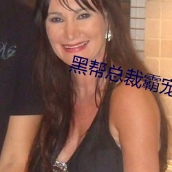黑帮总裁霸宠妹妹 （遭逢会遇）