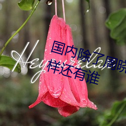 ڳջ˭ һ˭ ʡ£