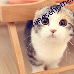 chinesehomemade京东(東)