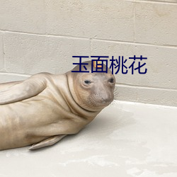玉面桃花 （恶人）