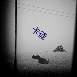 卡徒 （雅间）