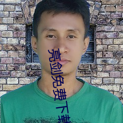 亮剑免费下载