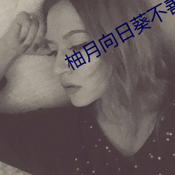 柚月向日葵不善皇后2