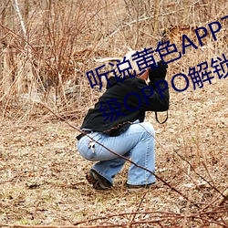 听说黄色APP下载3.0.3免费重新升级OPPO解锁版一天三次?网 （熊经鸱顾）