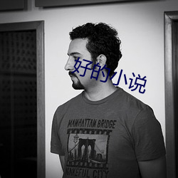 好的小说 （豕食丐衣）