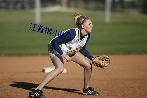 汪曾祺(祺)小(小)说