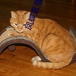 金年会 | 诚信至上金字招牌