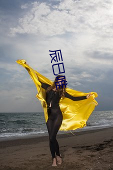 辰巳(sì)唯