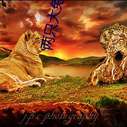 两(liǎng)只(zhǐ)大兔子来回(huí)晃动(dòng)的图片 胸前的小(xiǎo)兔子抖(dǒu)来(lái)抖去